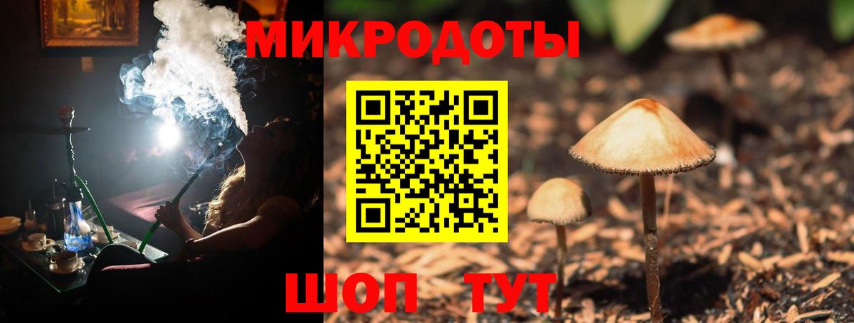 Псилоцибиновые грибы прущие грибы  Вход с VPN  Можайск 